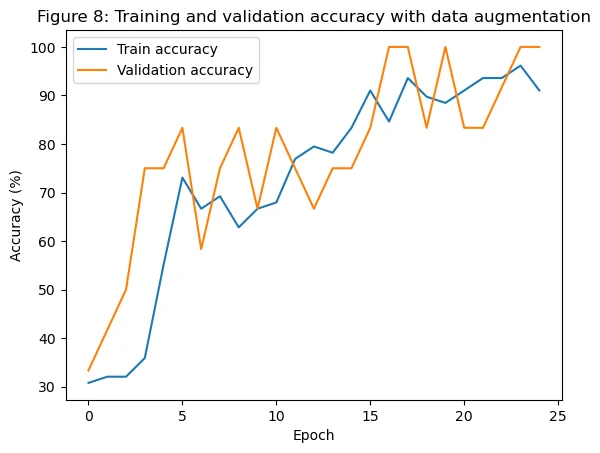 Training and validation accuracy during robot-image fine-tuning with augmentation